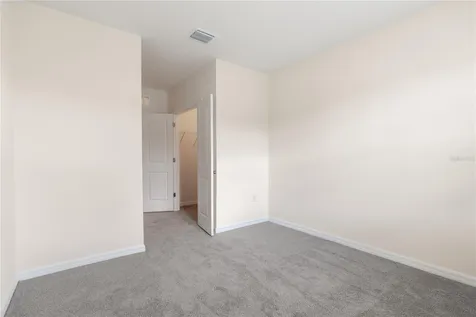 33028 Tulip Petal Lane Wesley Chapel FL 33545