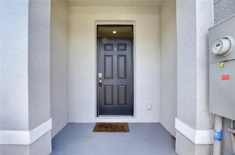 33028 Tulip Petal Lane Wesley Chapel FL 33545