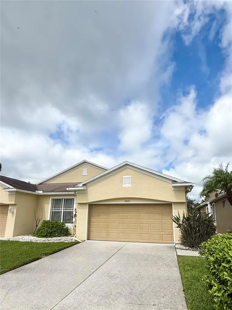 30533 Lettingwell Circle Wesley Chapel FL 33543