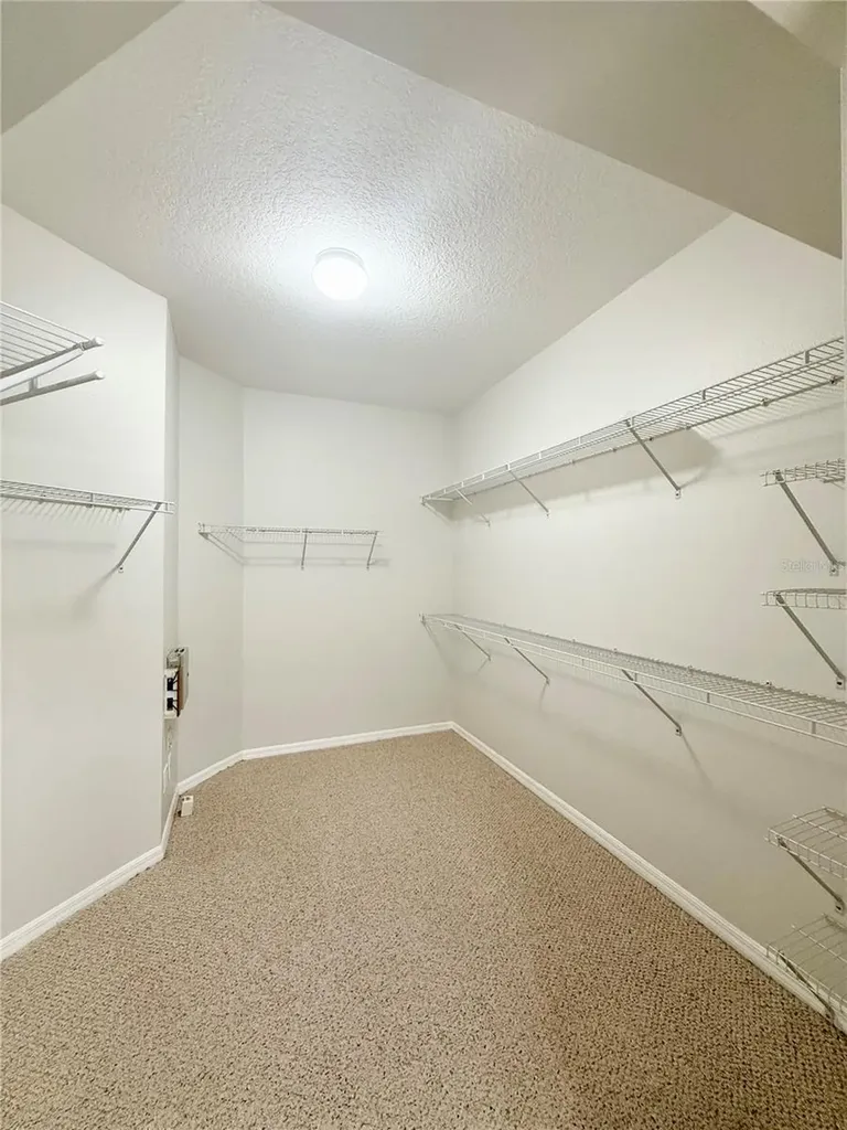 30533 Lettingwell Circle Wesley Chapel FL 33543
