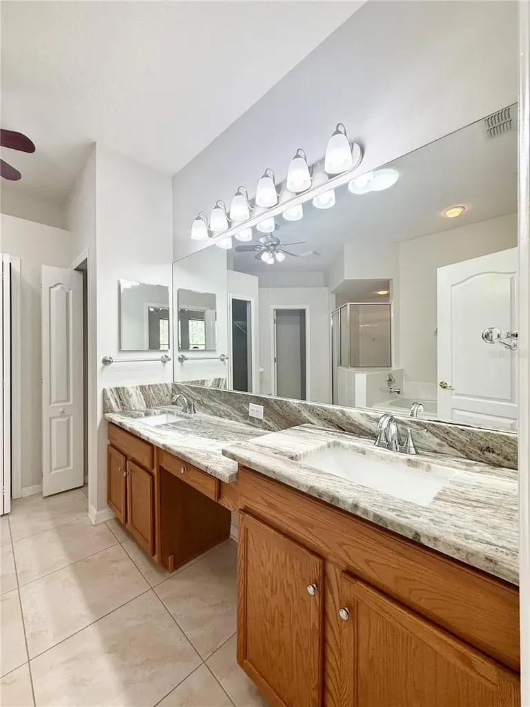 30533 Lettingwell Circle Wesley Chapel FL 33543