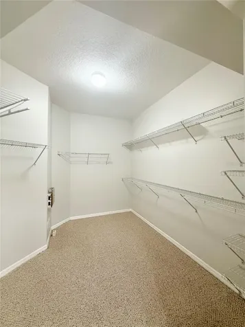 30533 Lettingwell Circle Wesley Chapel FL 33543