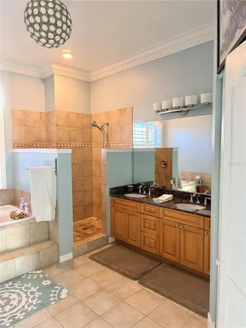 2008 N Pointe Alexis Drive Tarpon Springs FL 34689
