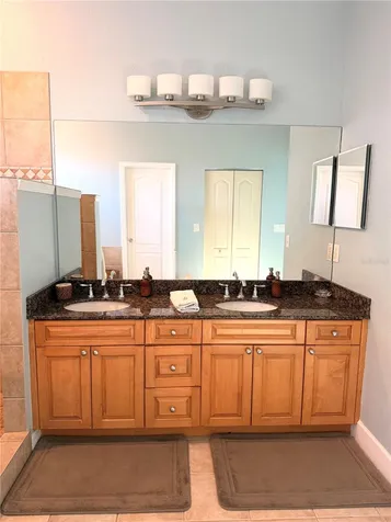 2008 N Pointe Alexis Drive Tarpon Springs FL 34689