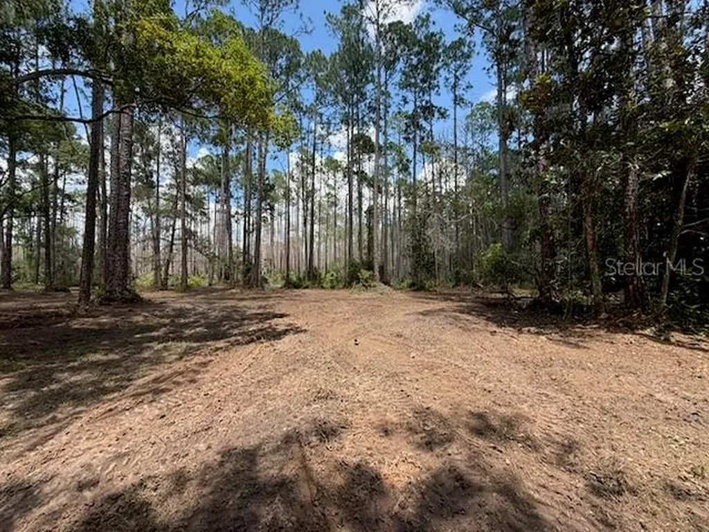 9TH Avenue Deland FL 32724