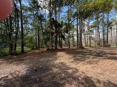 9TH Avenue Deland FL 32724