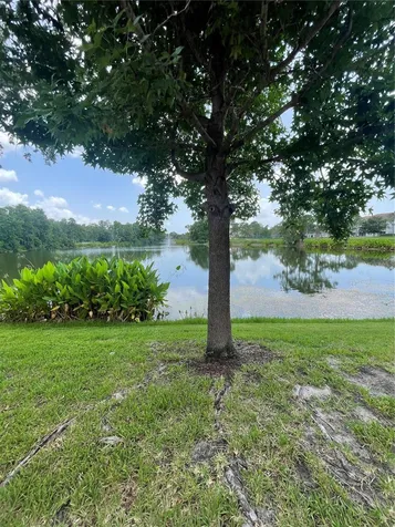 13536 Turtle Marsh Loop Orlando FL 32837