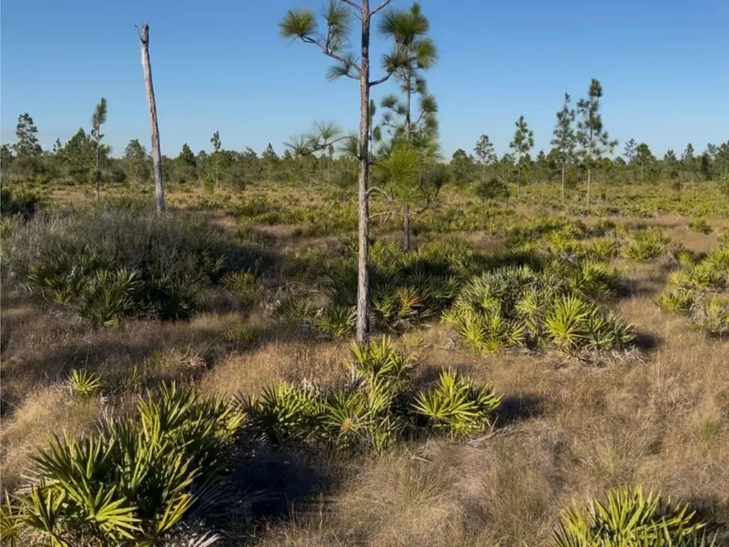 Holopaw Groves Road St Cloud FL 34771