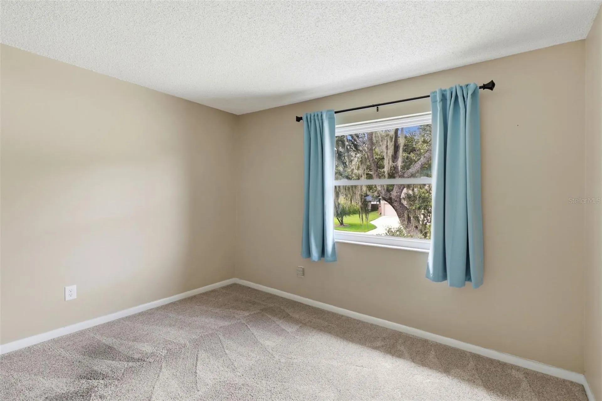 302 Bloomingfield Drive Brandon FL 33511