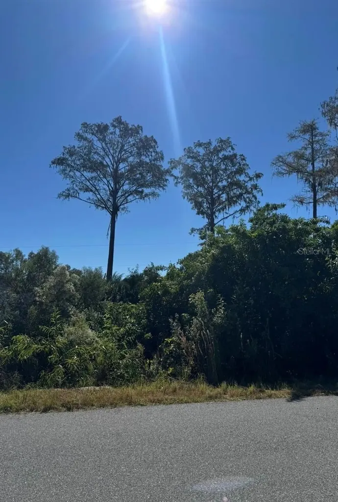 1450 Towton Street SE Palm Bay FL 32909
