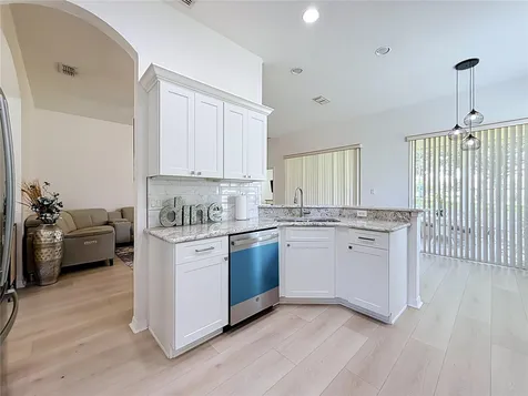 25206 Ormond Court Leesburg FL 34748