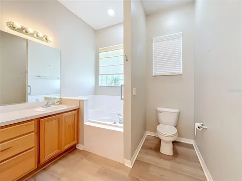 25206 Ormond Court Leesburg FL 34748