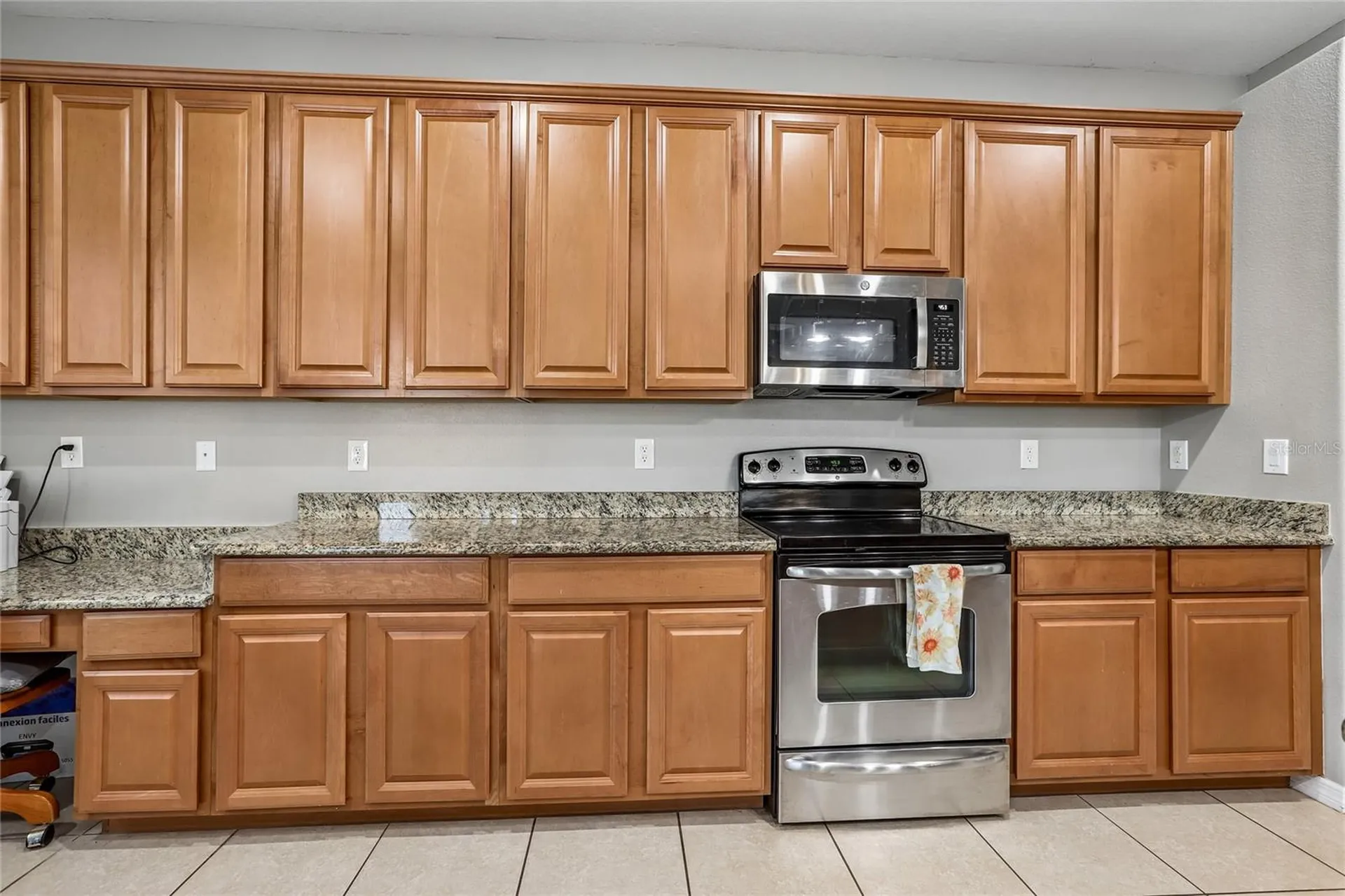 13231 Graham Yarden Drive Riverview FL 33579