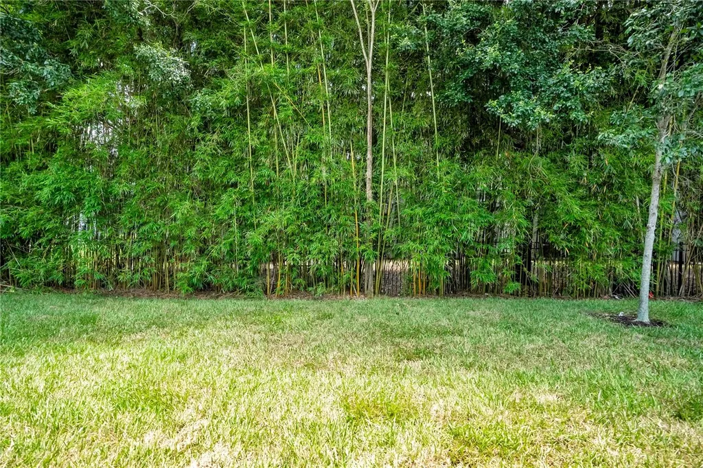 10654 Royal Cypress Way Orlando FL 32836