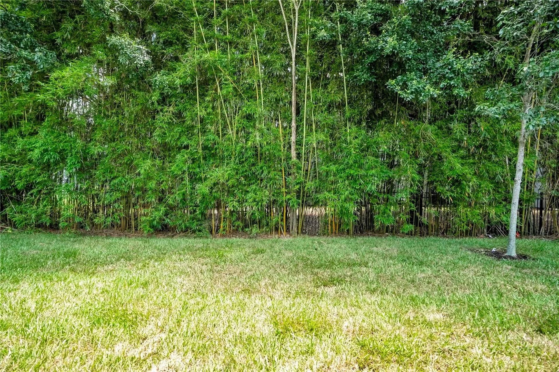 10654 Royal Cypress Way Orlando FL 32836
