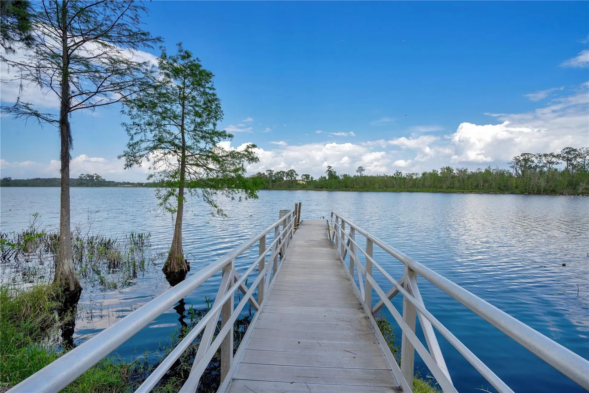 10654 Royal Cypress Way Orlando FL 32836