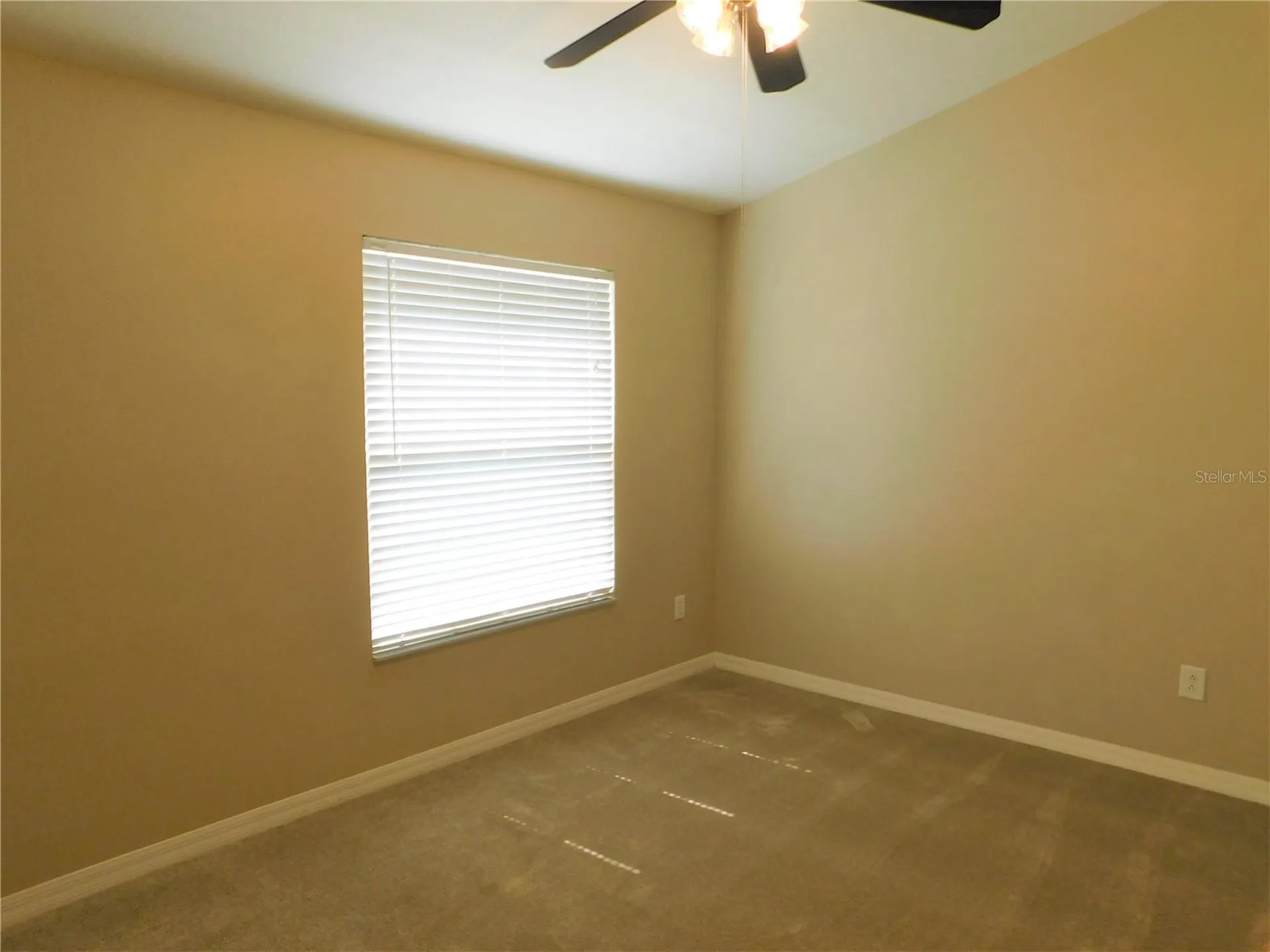 12450 Country White Circle Tampa FL 33635