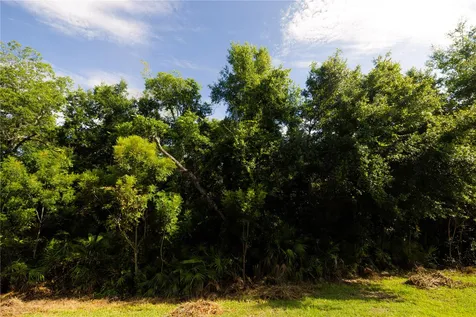 4609 Sparkling Shell Avenue Kissimmee FL 34746