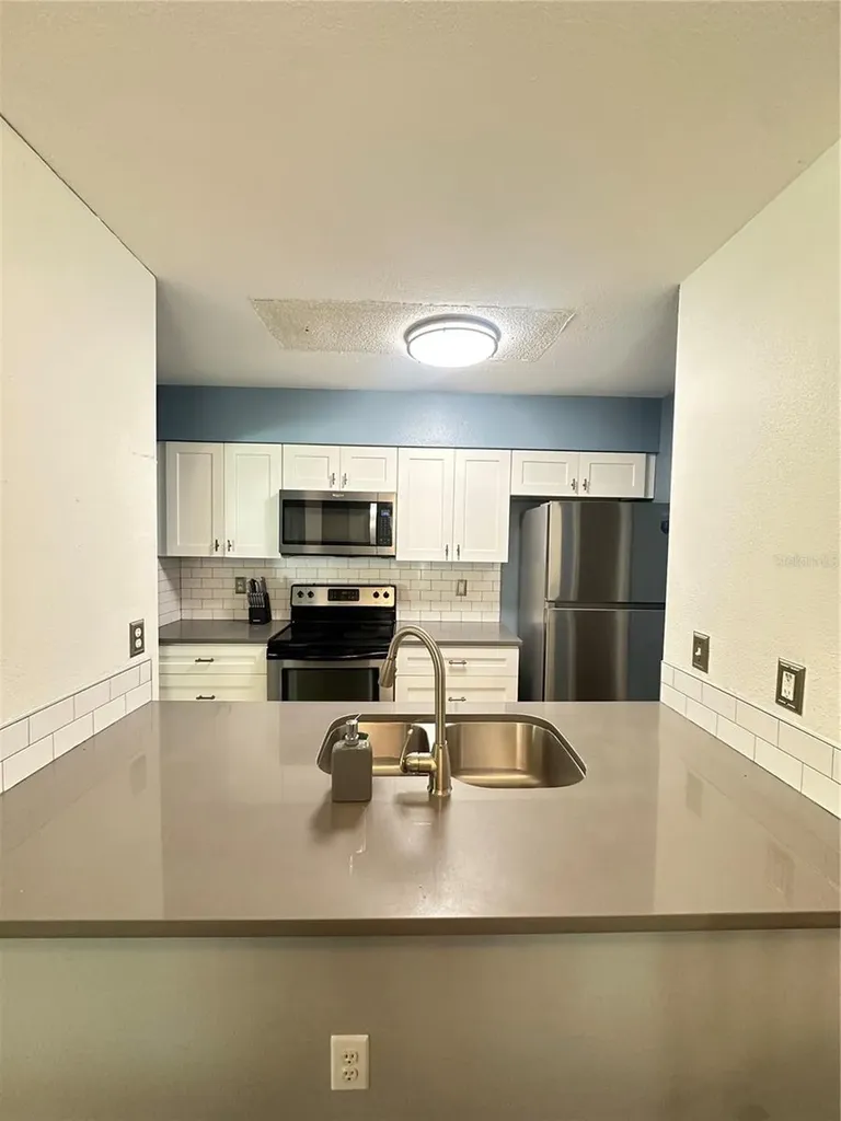 2235 Fluorshire Dr Drive Brandon FL 33511