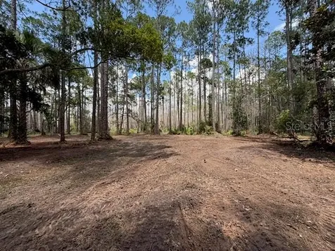9TH Avenue Deland FL 32724