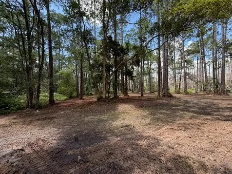 9TH Avenue Deland FL 32724