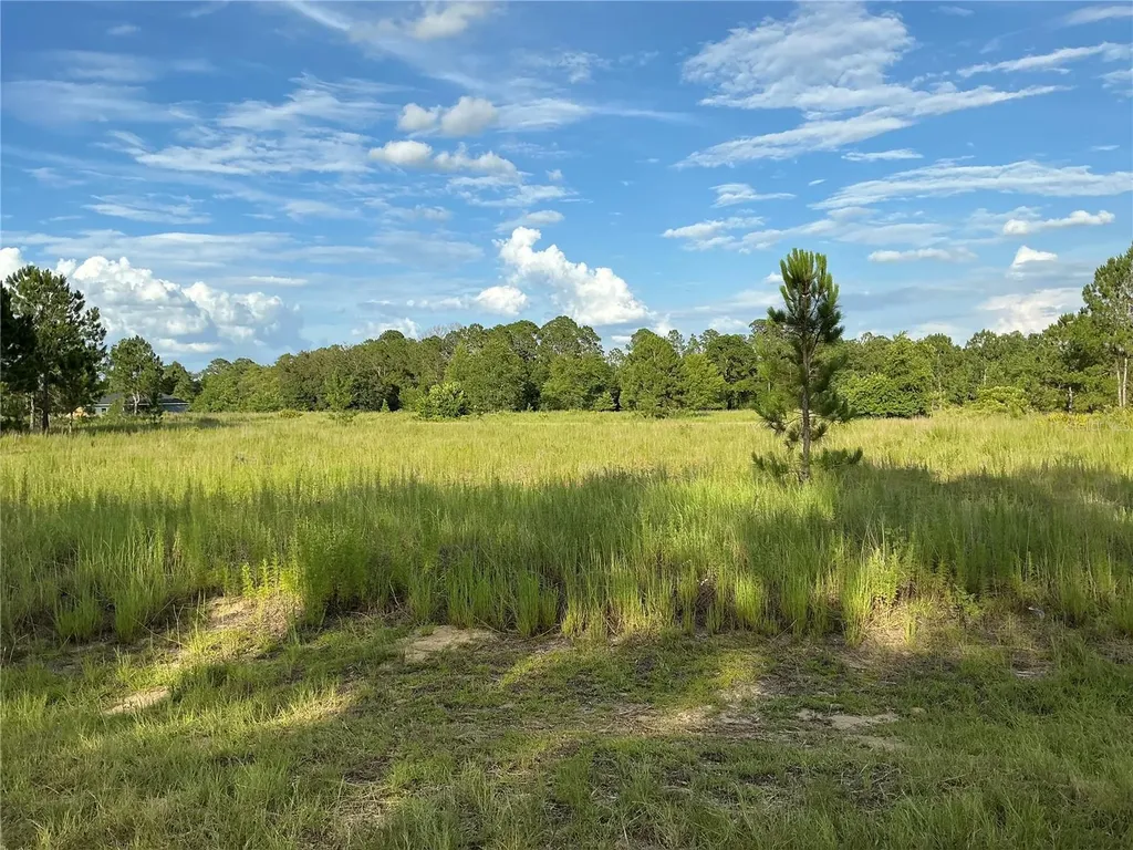Maple Ln Way Ocklawaha FL 32179