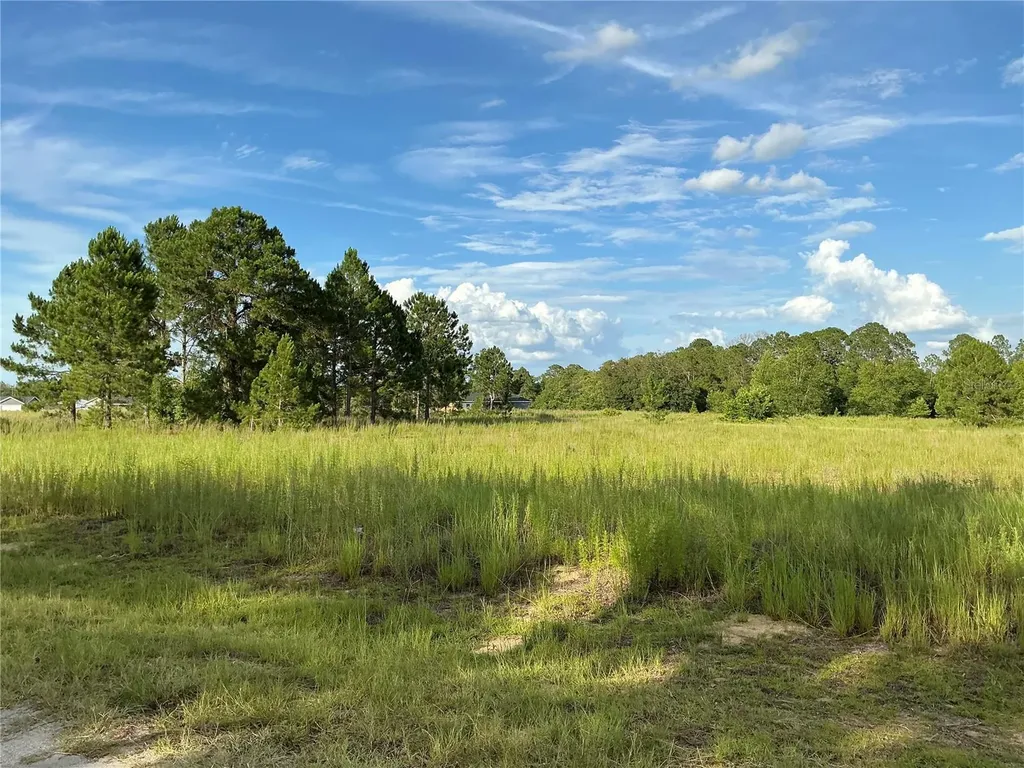 Maple Ln Way Ocklawaha FL 32179