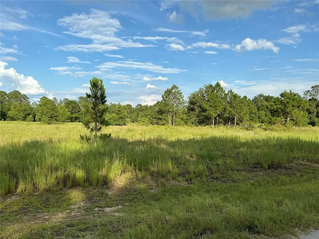 Maple Ln Way Ocklawaha FL 32179