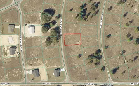 Maple Ln Way Ocklawaha FL 32179
