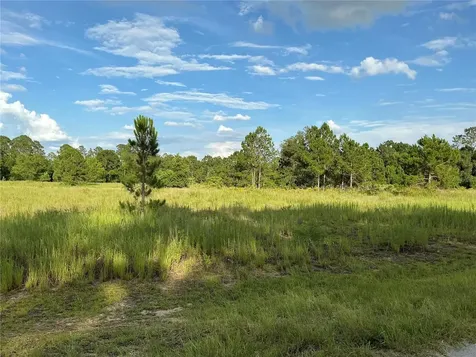 Maple Ln Way Ocklawaha FL 32179