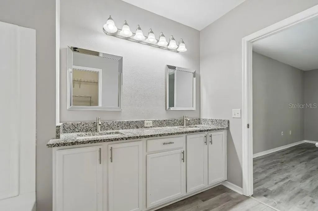30737 White Bird Avenue Wesley Chapel FL 33543
