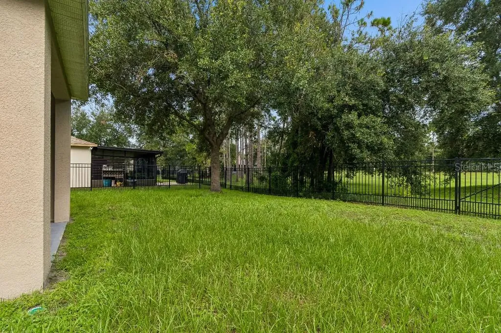 30737 White Bird Avenue Wesley Chapel FL 33543