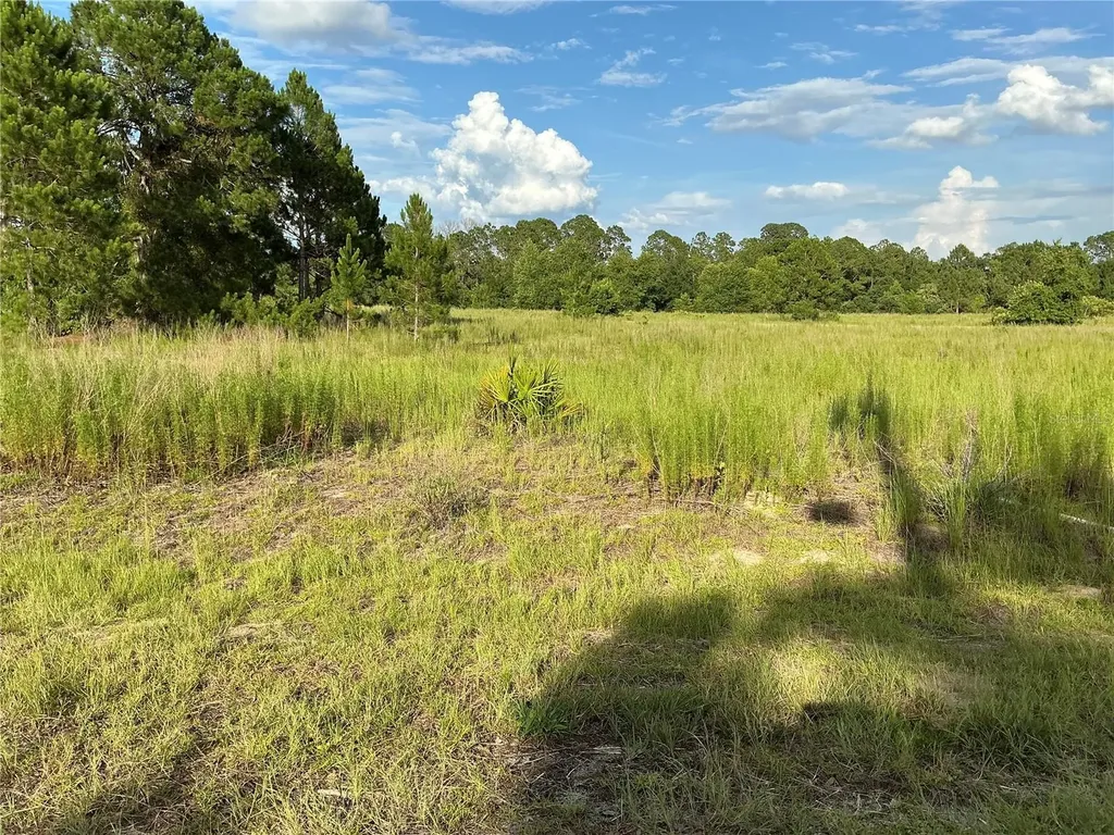 Maple Ln Way Ocklawaha FL 32179