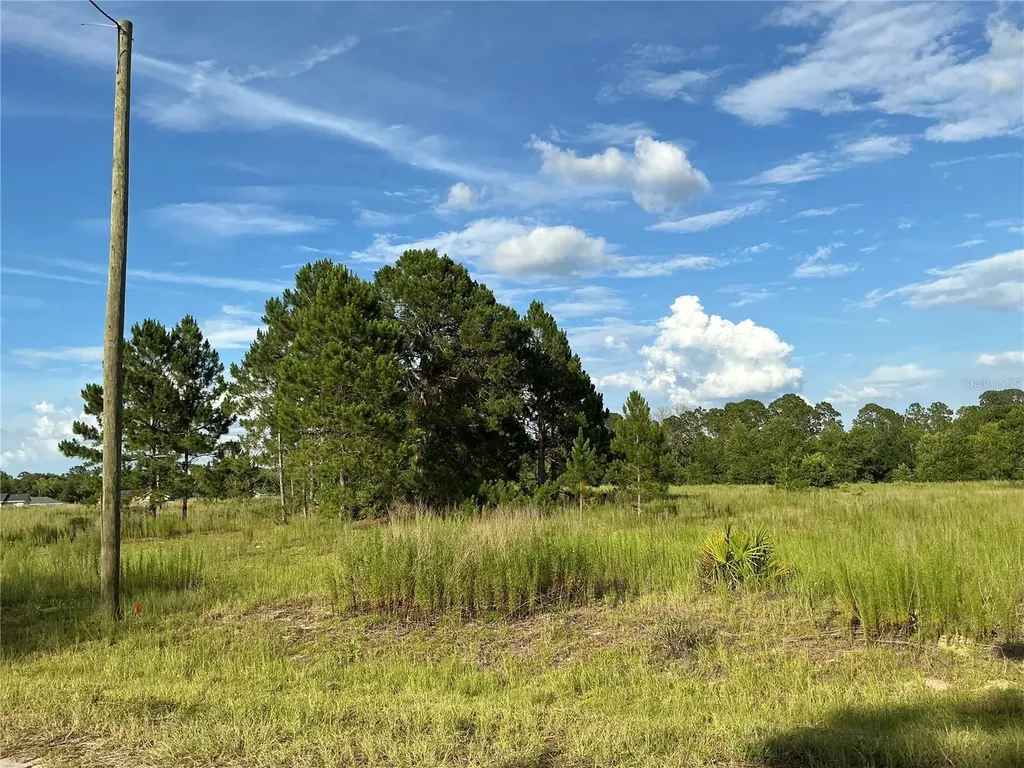 Maple Ln Way Ocklawaha FL 32179