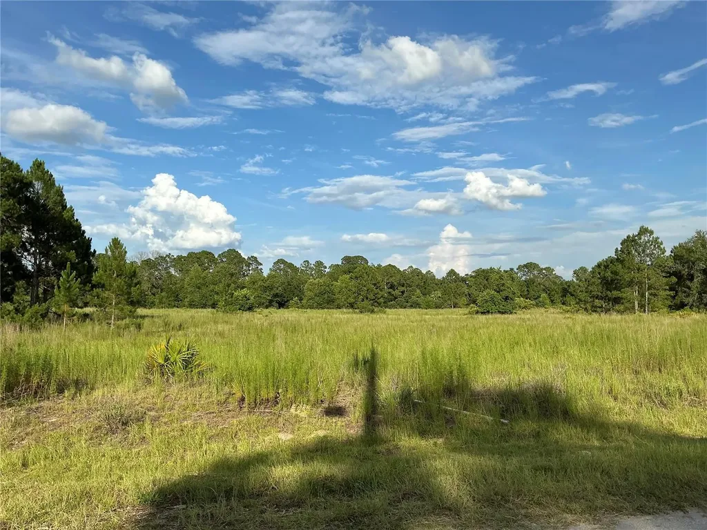 Maple Ln Way Ocklawaha FL 32179