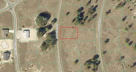 Maple Ln Way Ocklawaha FL 32179