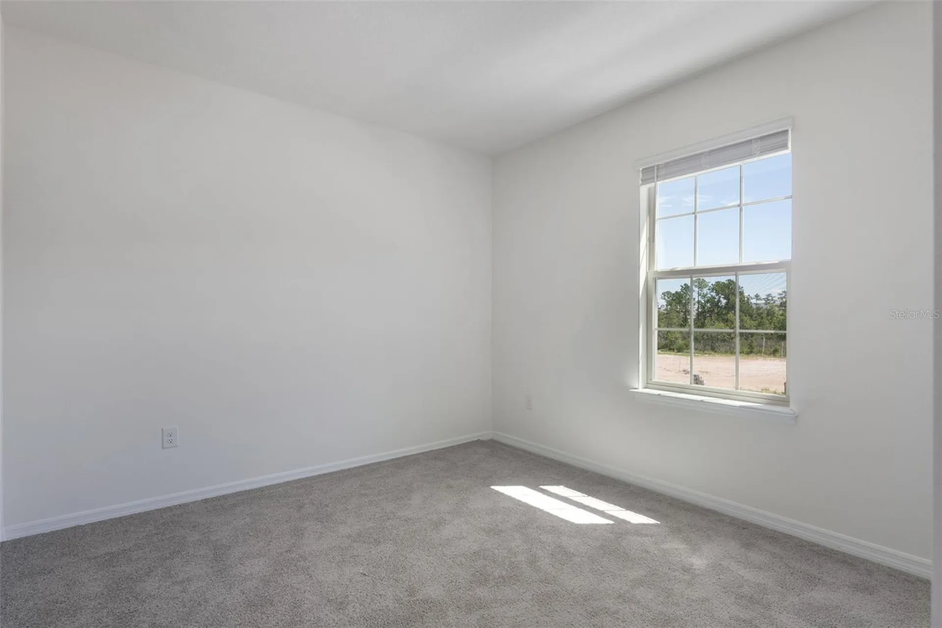 16822 Hobe Sound Court Winter Garden FL 34787