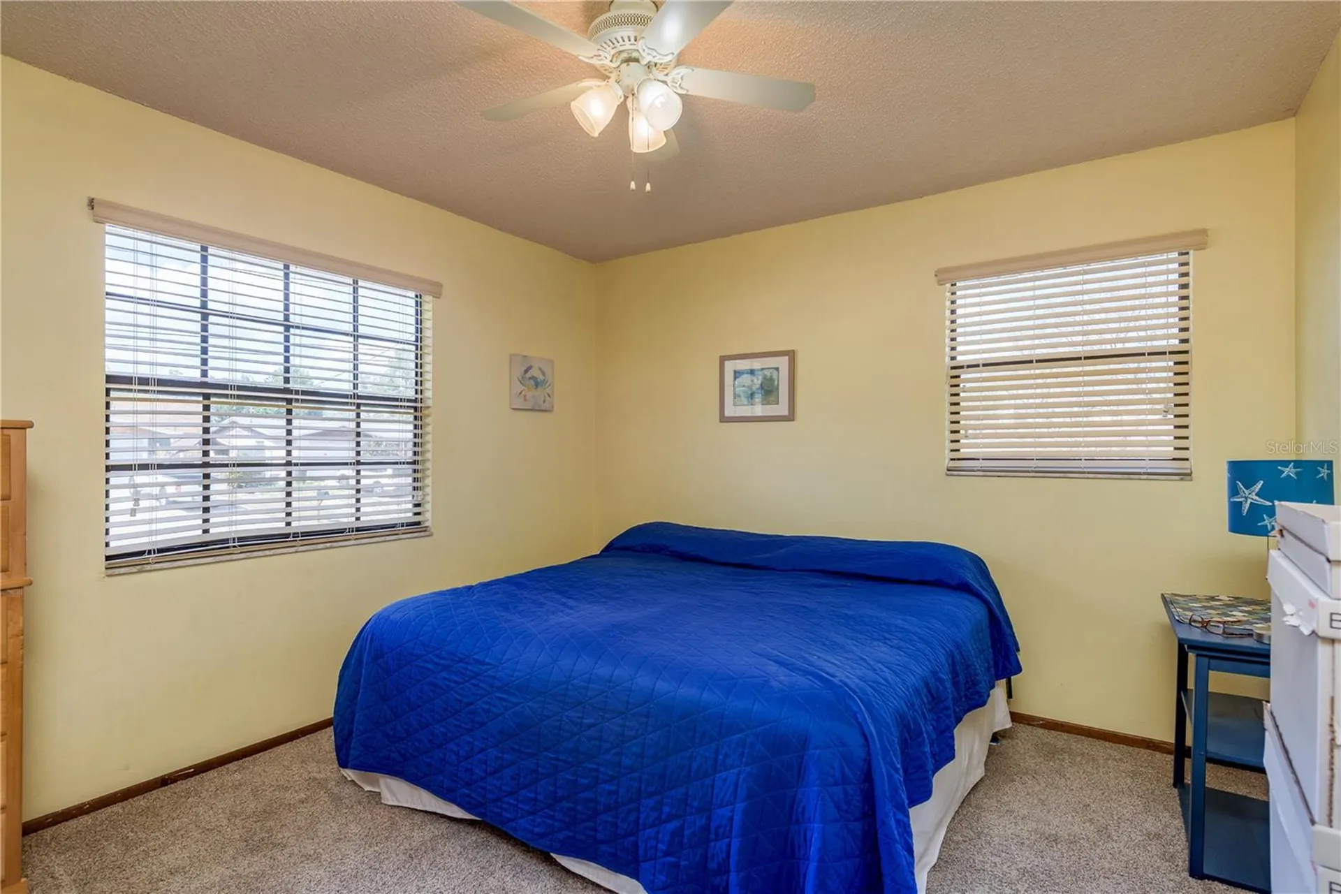 1462 Lakeview Drive Tarpon Springs FL 34689
