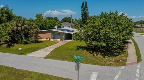 3017 Chicory Terrace Punta Gorda FL 33983