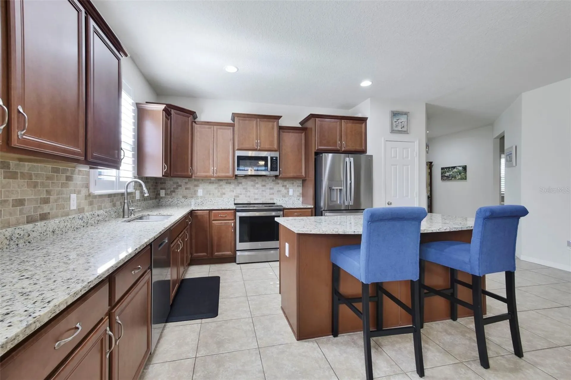 21315 Sorraia Cove Mount Dora FL 32757