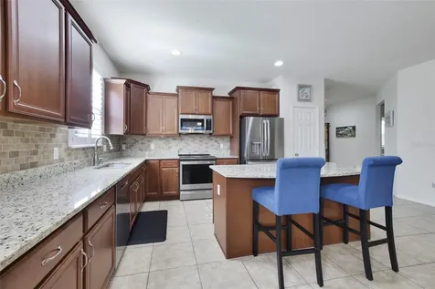21315 Sorraia Cove Mount Dora FL 32757