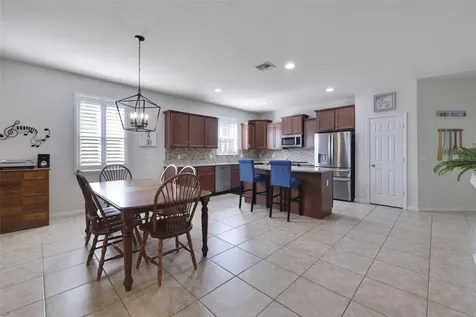21315 Sorraia Cove Mount Dora FL 32757