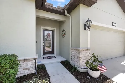 21315 Sorraia Cove Mount Dora FL 32757