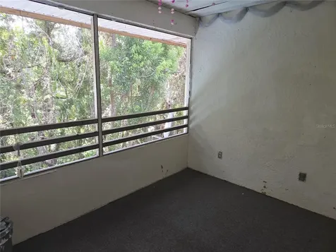 1260 Sago Palm Boulevard Kissimmee FL 34741