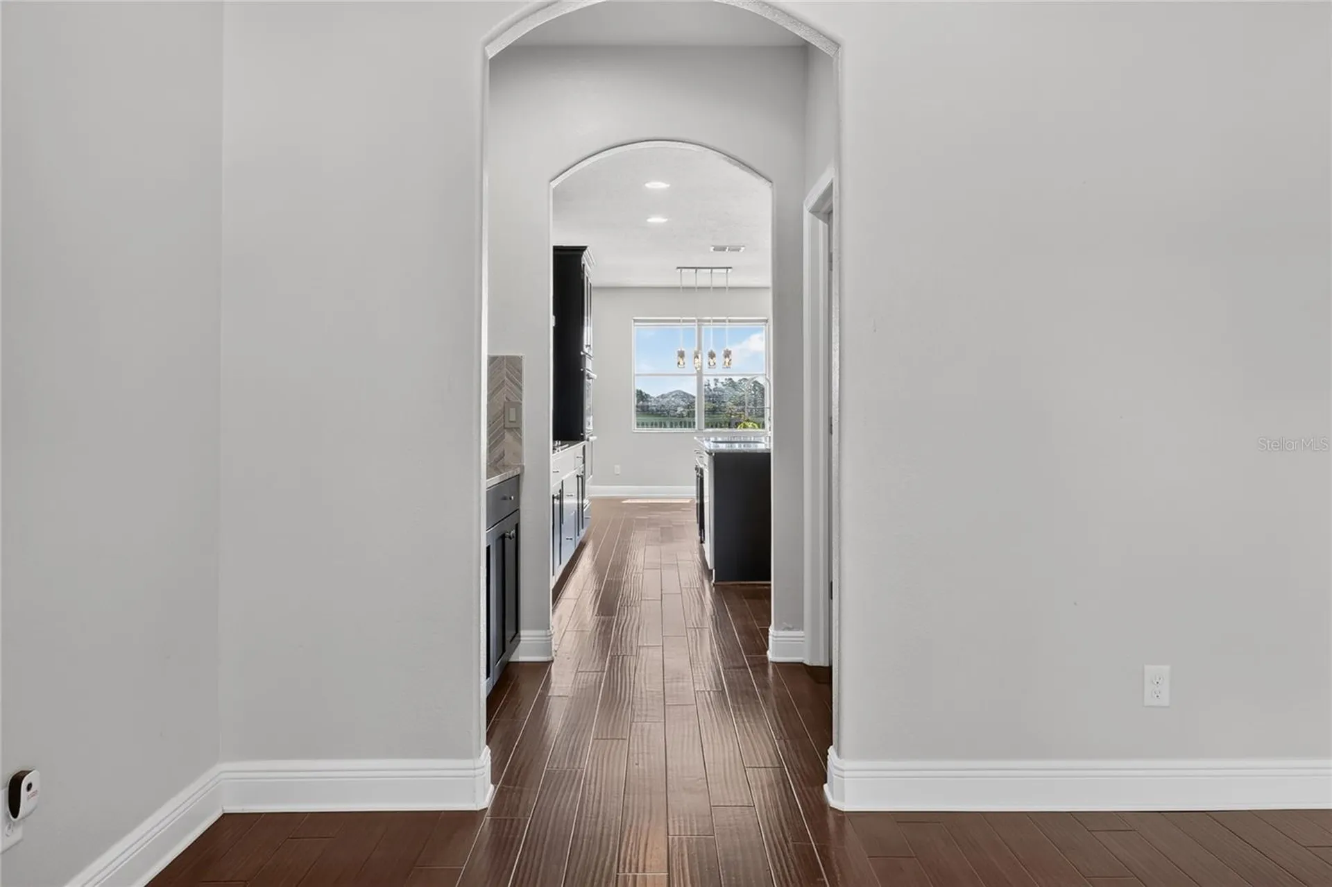 1806 Nature View Drive Lutz FL 33558