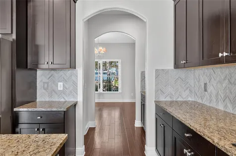 1806 Nature View Drive Lutz FL 33558