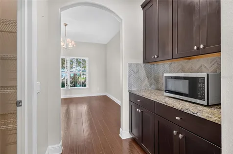 1806 Nature View Drive Lutz FL 33558