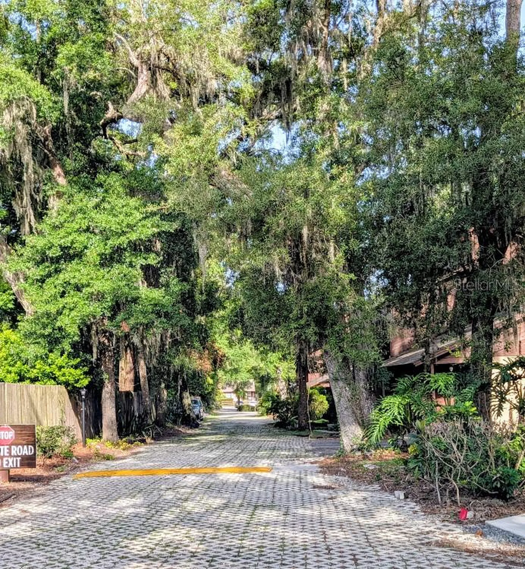 1021 Love Lane Apopka FL 32703