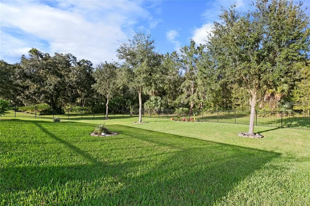 7929 Hampton Lake Drive Tampa FL 33647