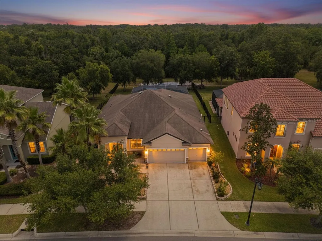 7929 Hampton Lake Drive Tampa FL 33647